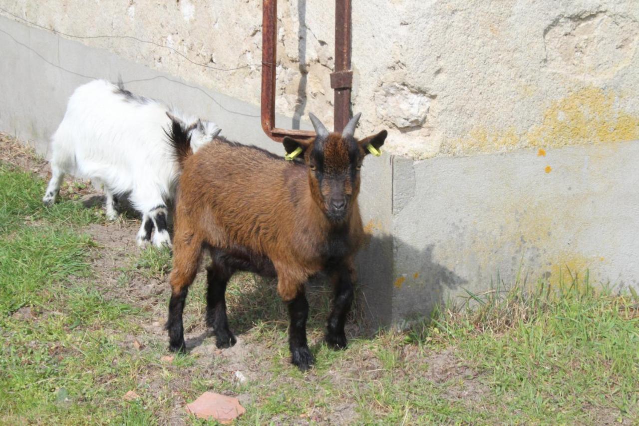 Вілла Ferme Des Poulardieres Crouy-sur-Cosson Екстер'єр фото