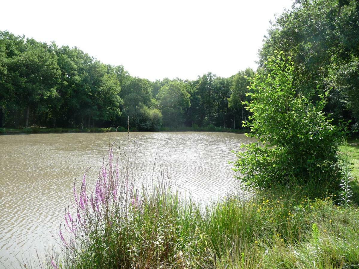 Вілла Ferme Des Poulardieres Crouy-sur-Cosson Екстер'єр фото